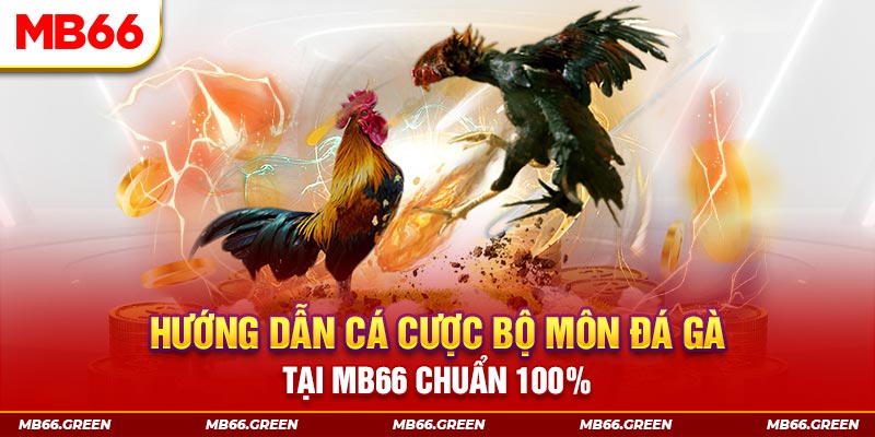 win777 kết quả xổ số miền bắc ngày hôm nay