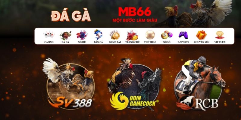 win777 what is casino bonus wagering