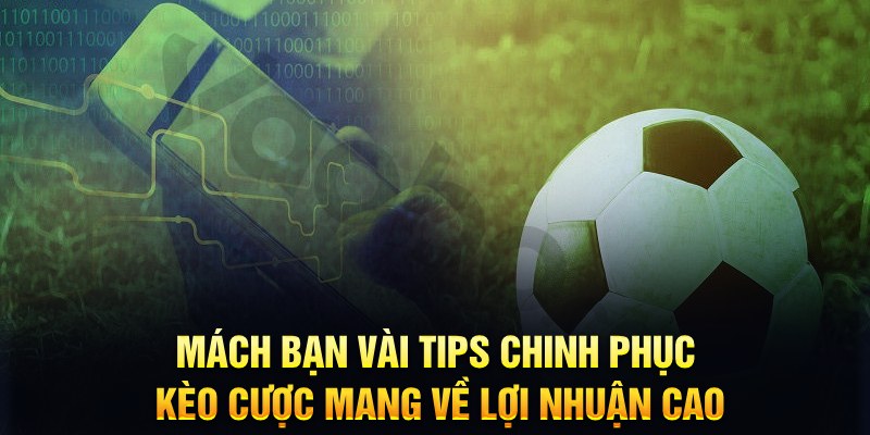 win777 đăng nhập phỏm hàng đầu