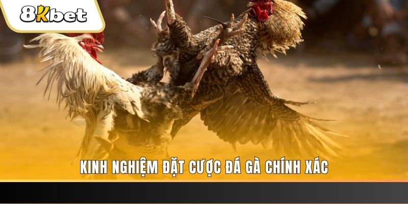 win777 xổ số thứ bảy hàng tuần