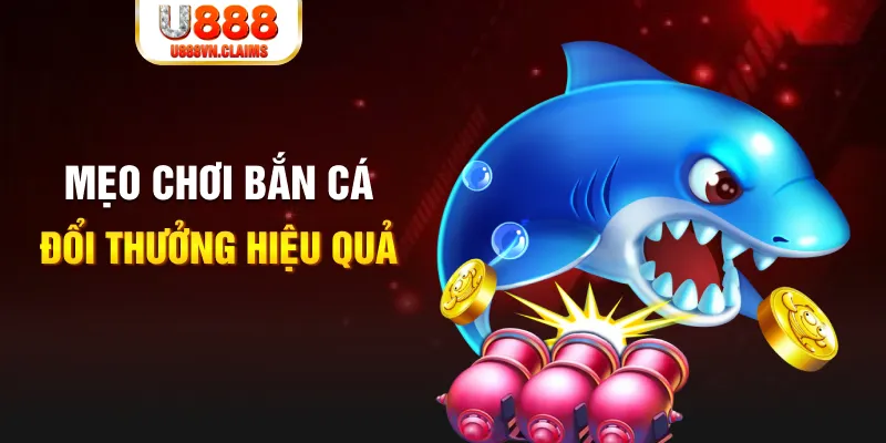 win777 gà chọi cam ranh
