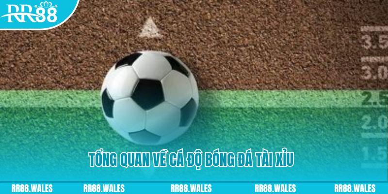win777 đăng nhập roulette online