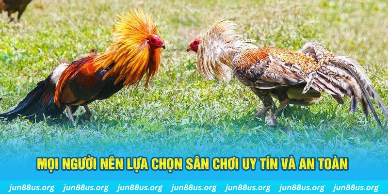 win777 Cỡ bảy