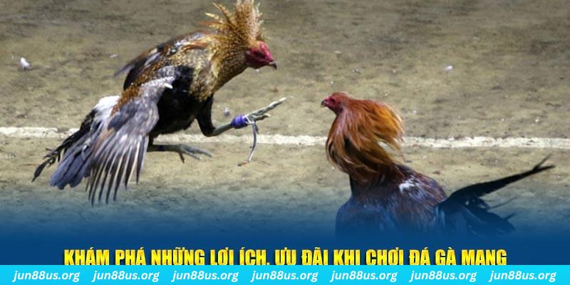 win777 đăng nhập liêng live