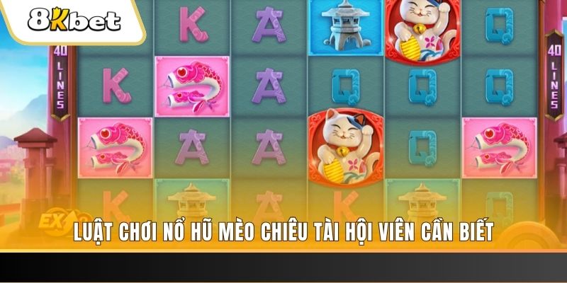 win777 gà chọi cu cần