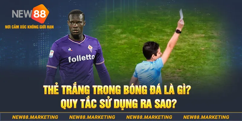 win777 đăng nhập sòng bạc hôm nay
