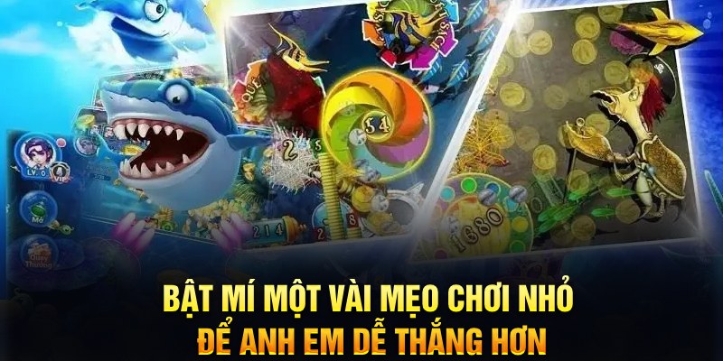 win777 xổ số thứ ba