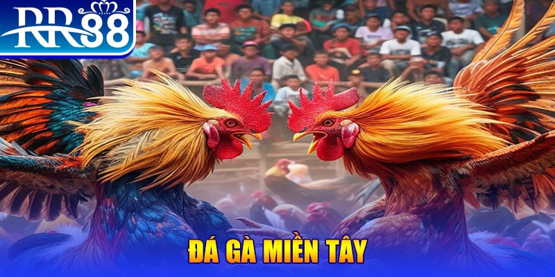 win777 người chia bài trong casino gọi là gì