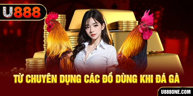 win777 đá gà trực tiếp campuchia